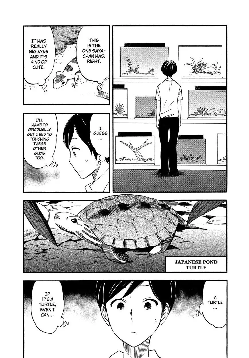 Between Smooth and Rough Chapter 8 4